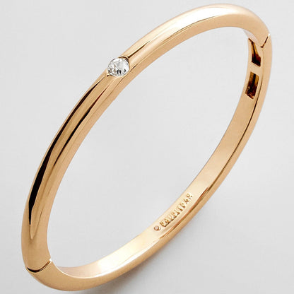 Lavisa classic single bezel hinge bangle in sleek metallic finish