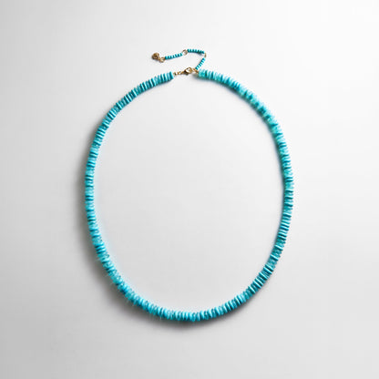 Lavisa turquoise beaded long necklace with glossy 8mm beads