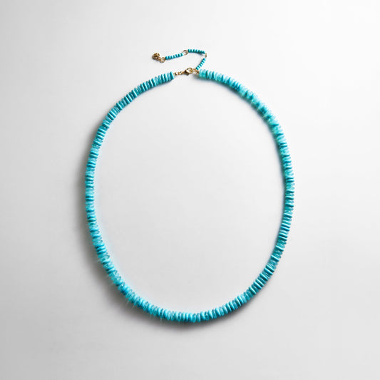 Lavisa turquoise beaded long necklace with glossy 8mm beads