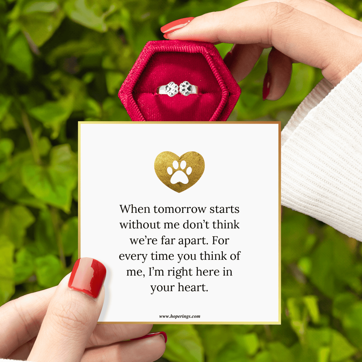 Lavisa - Paw Hug From Heaven Memorial Adjustable Ring