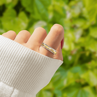 Lavisa - Calm Motion Fidget Stress Relief Ring