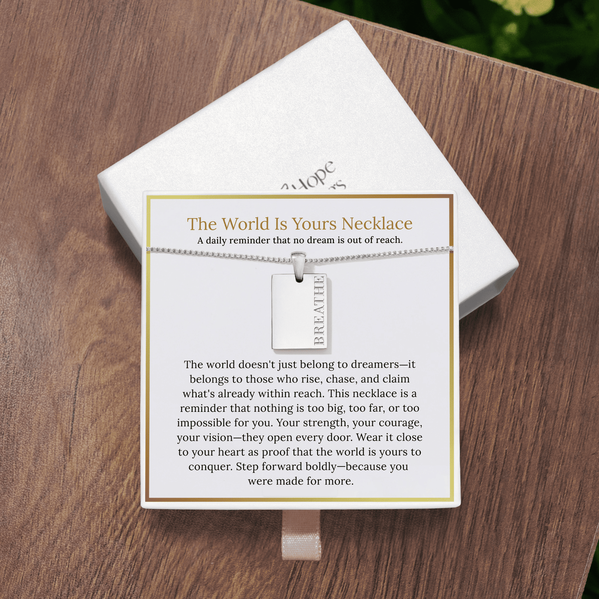 Lavisa - The World Is Yours Necklace