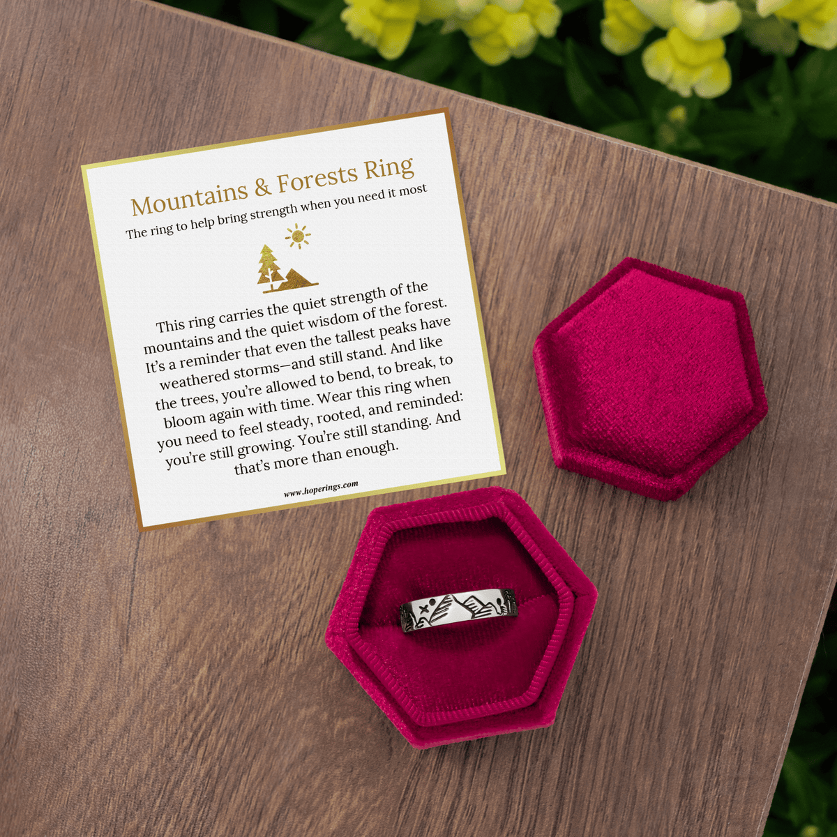 Lavisa - Mountains And Forests Ring