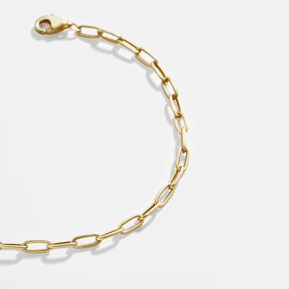 Lavisa - Delicate Paperclip Chain Bracelet in 14K Gold - On-Model & Scale View
