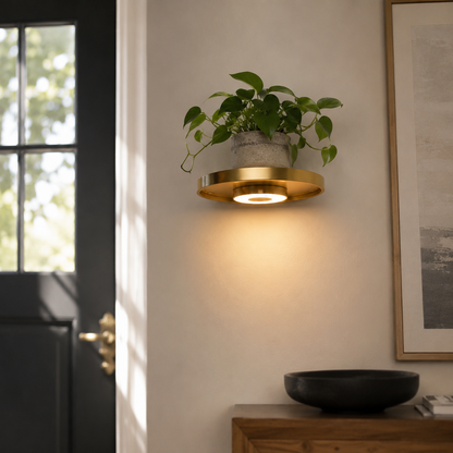 Lavisa - Floating Wall Shelf with Ambient LED