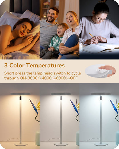 Lavisa - Touch Control LED Task Table Lamp with Memory Dimming