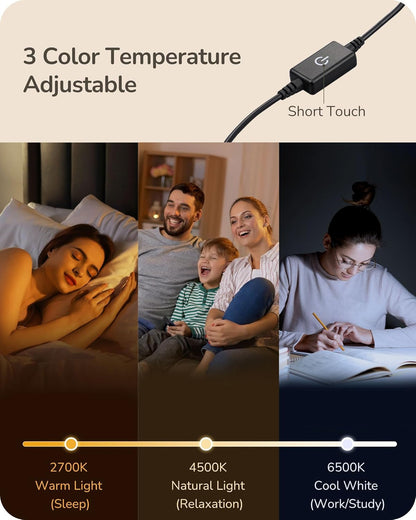 Lavisa - Modern Minimalist Dimmable LED Table Lamps Set of 2