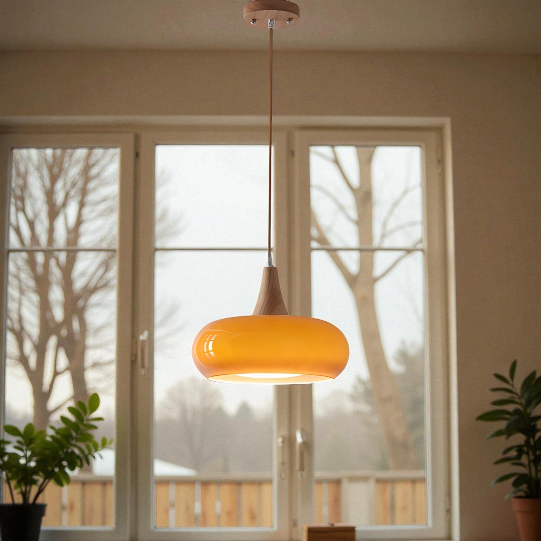 Lavisa - Modern LED Donut Pendant Light