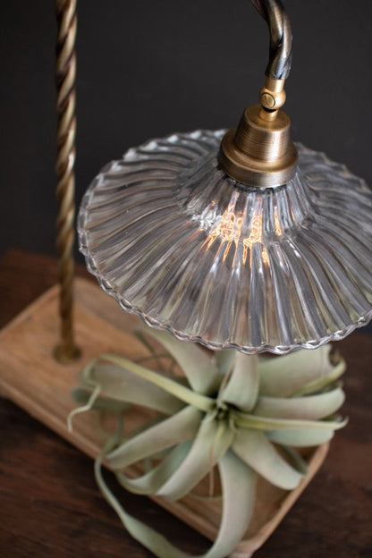 Lavisa Gooseneck Table Lamp with Wooden Tray Base and Glass Shade (View 4)