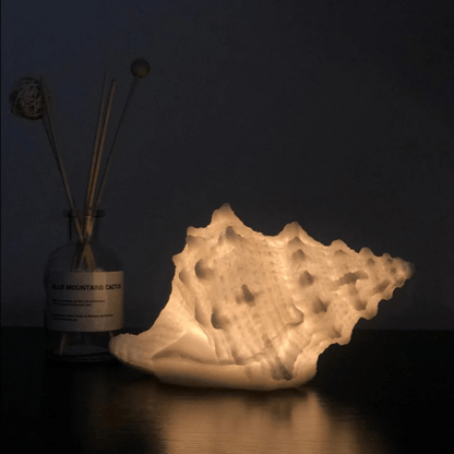 Lavisa Portable Coastal Seashell Night Light casting a soft warm glow on a bedside table