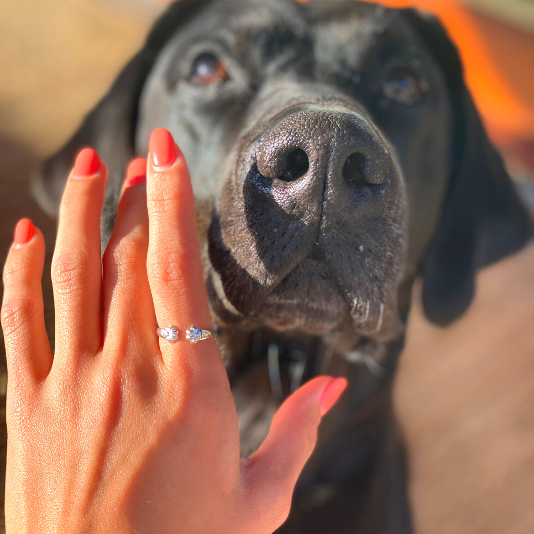 Lavisa - Memorial Paw Ring