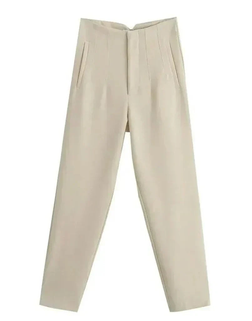 Lavisa - Women's Wrinkle Resistant Straight Leg Dress Trousers