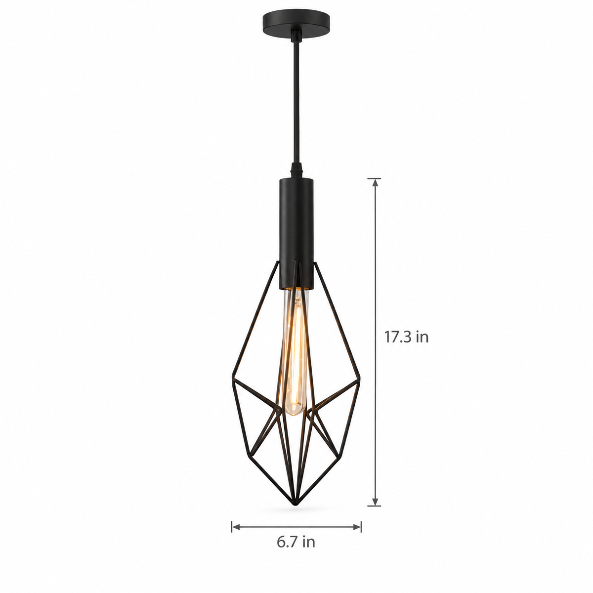 Lavisa - Black Wire Cage Pendant Light