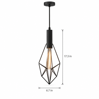Lavisa - Black Wire Cage Pendant Light