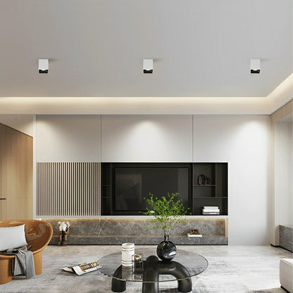 Lavisa - Modern Minimalist Aluminum Square COB Ceiling Spot Light