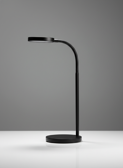 Lavisa Minimalist Black LED Desk Lamp with flexible neck
