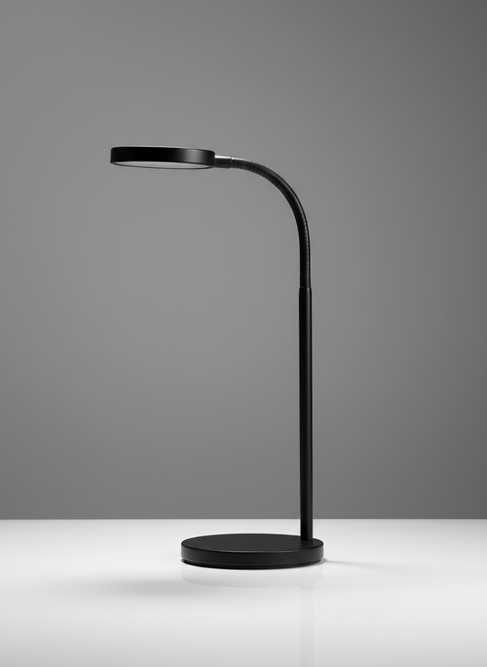 Lavisa Minimalist Black LED Desk Lamp with flexible neck